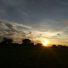 Evening View, barju gaun palika, sunsari  nepal, barju lake